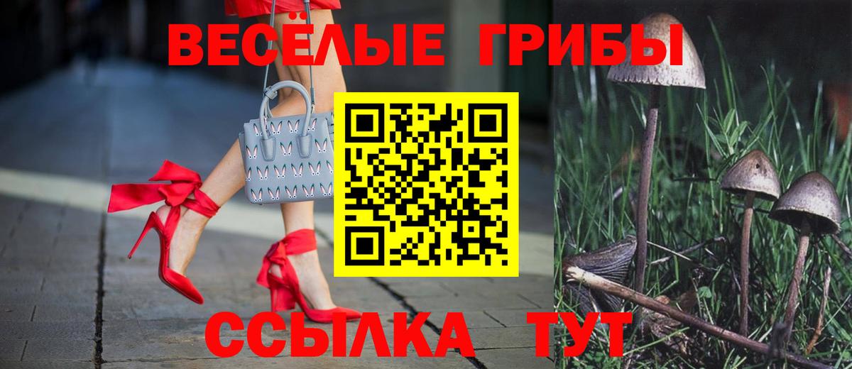 Псилоцибиновые грибы Cubensis Звенигород