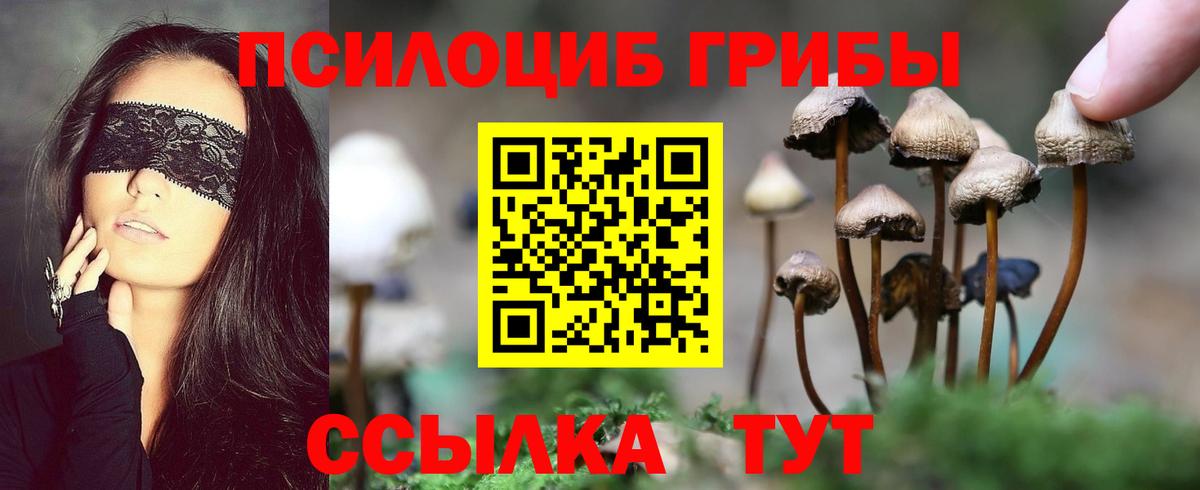 Галлюциногенные грибы мицелий  Вход с VPN  Звенигород  Галлюциногенные грибы ЛСД 